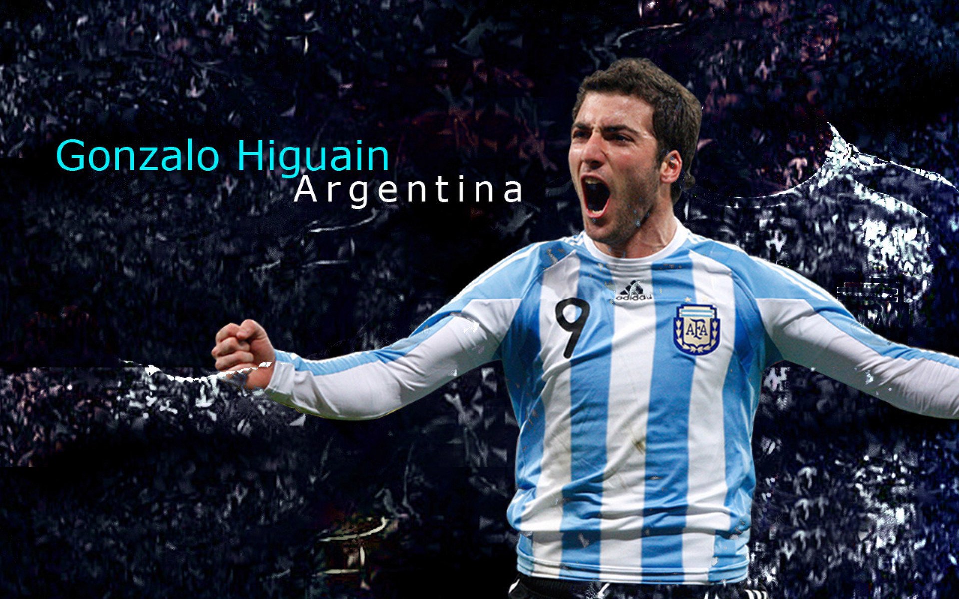 日本新星点燃希望之火！，2020日本新星